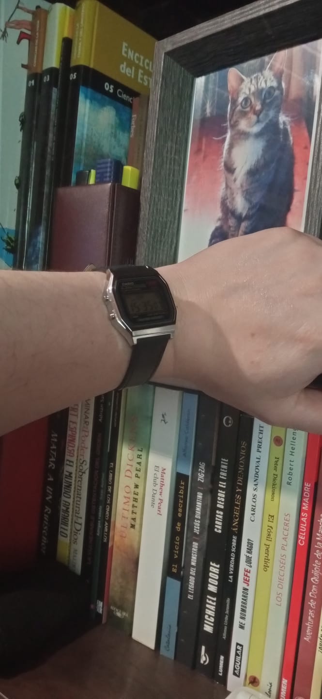 Customer photo review of Reloj Casio Vintage A159WA-N1DF Plateado MADE IN JAPAN