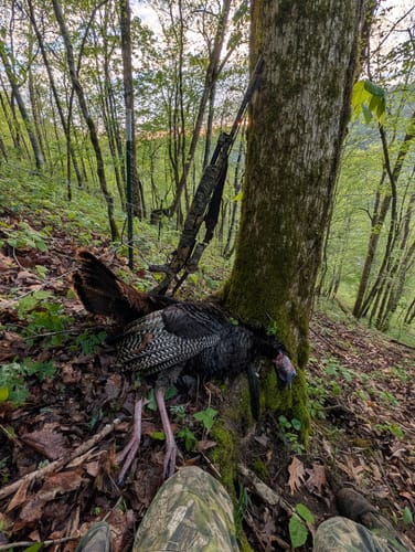 Customer photo review of Crystal Over Slate Pot Call - All Weather