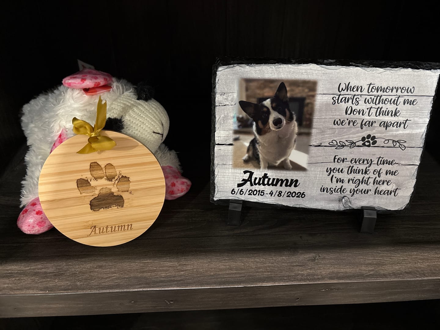 Customer photo review of Personalized Dog Memorial   When Tomorrow Starts without me  Personalized Picture Keepsake