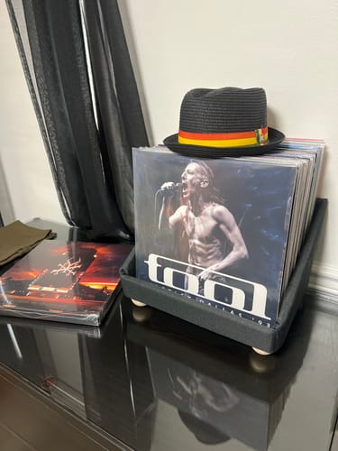 Customer photo review of Record Roots Tabletop Storage System