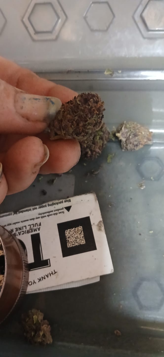 Customer photo review of Granddaddy Purple - 14 Grams - Indica