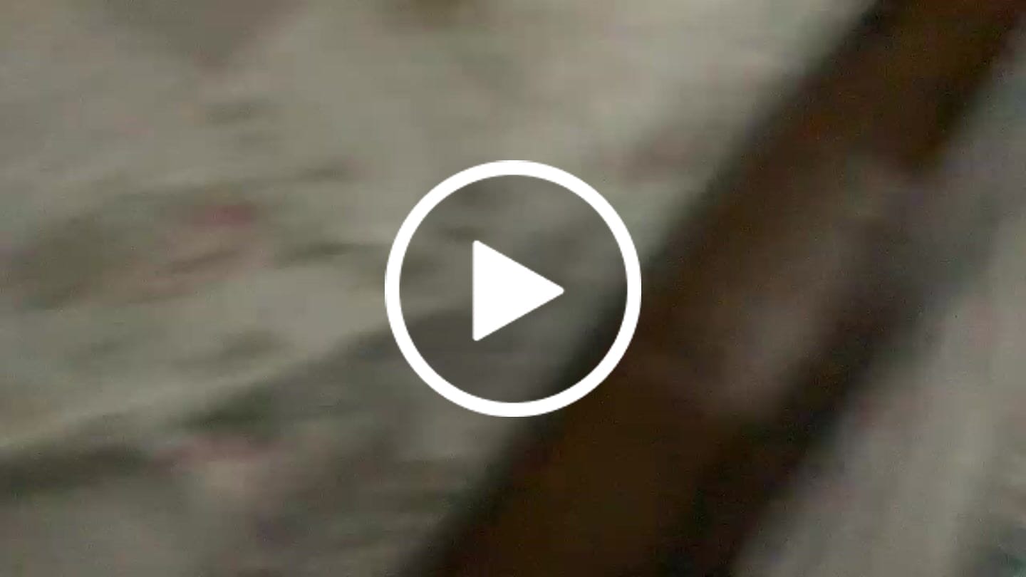 Customer video review of Glowing & Smoking Zanpakuto (BLEACH)