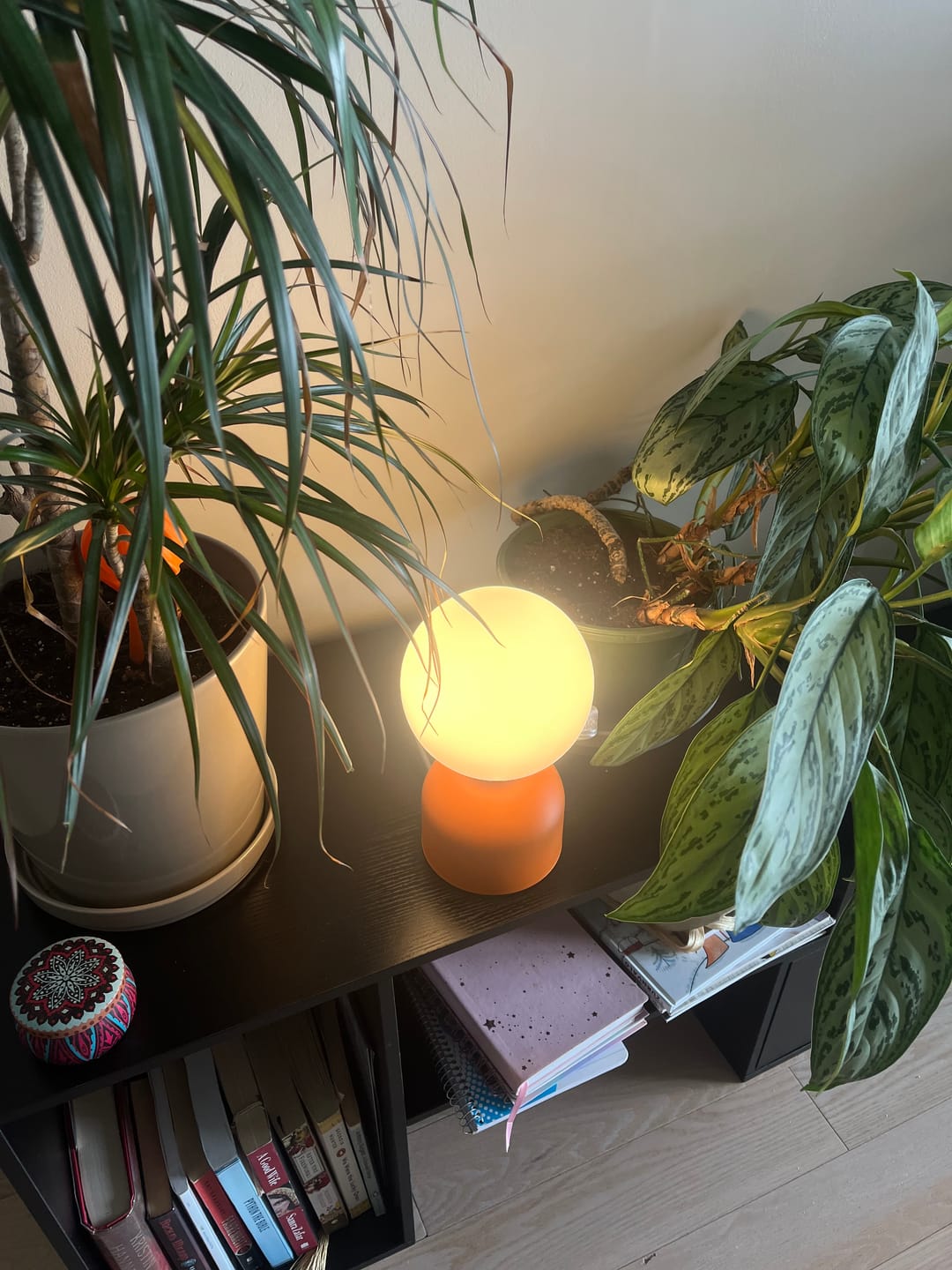Customer photo review of Miki Modern Glass Globe Table Lamp for Bedroom Nightstand, Living Room & Ambient Accent Lighting