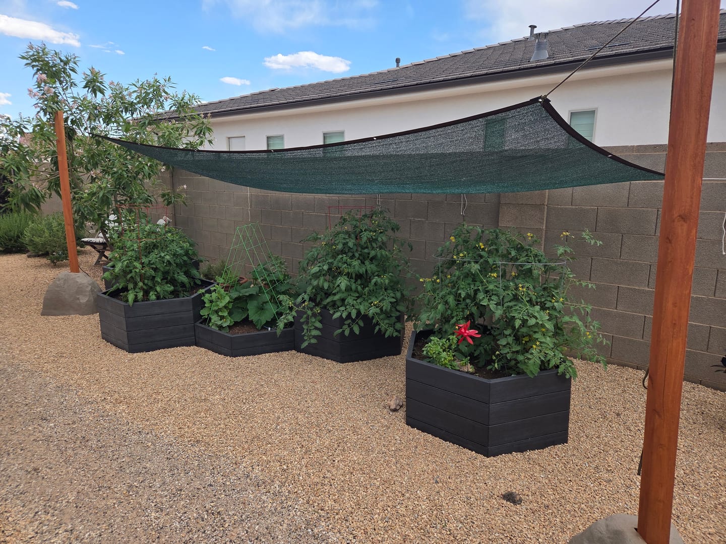 Customer photo review of 50% Shade Cloth
