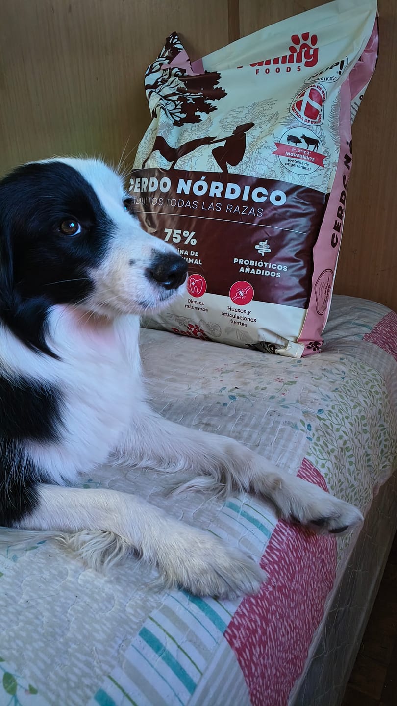 Customer photo review of PetFamily Foods Cerdo Nordico