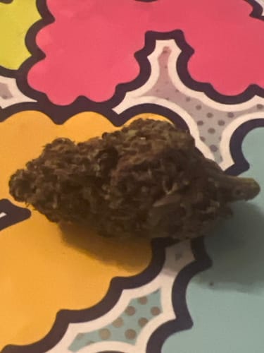 Customer photo review of Granddaddy Purple - 28 Grams - Indica