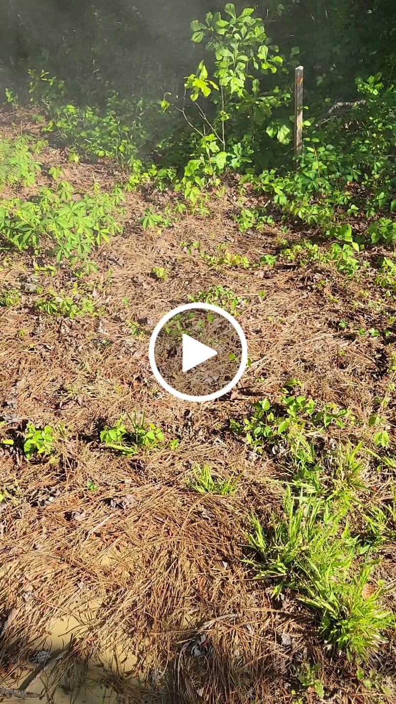 Customer video review of Freedom Fingers Taurus TX22 FRT | 22TY Forced Reset Trigger
