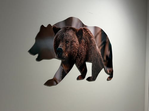 Customer photo review of Limited Edition Bear - Metal Wall Art