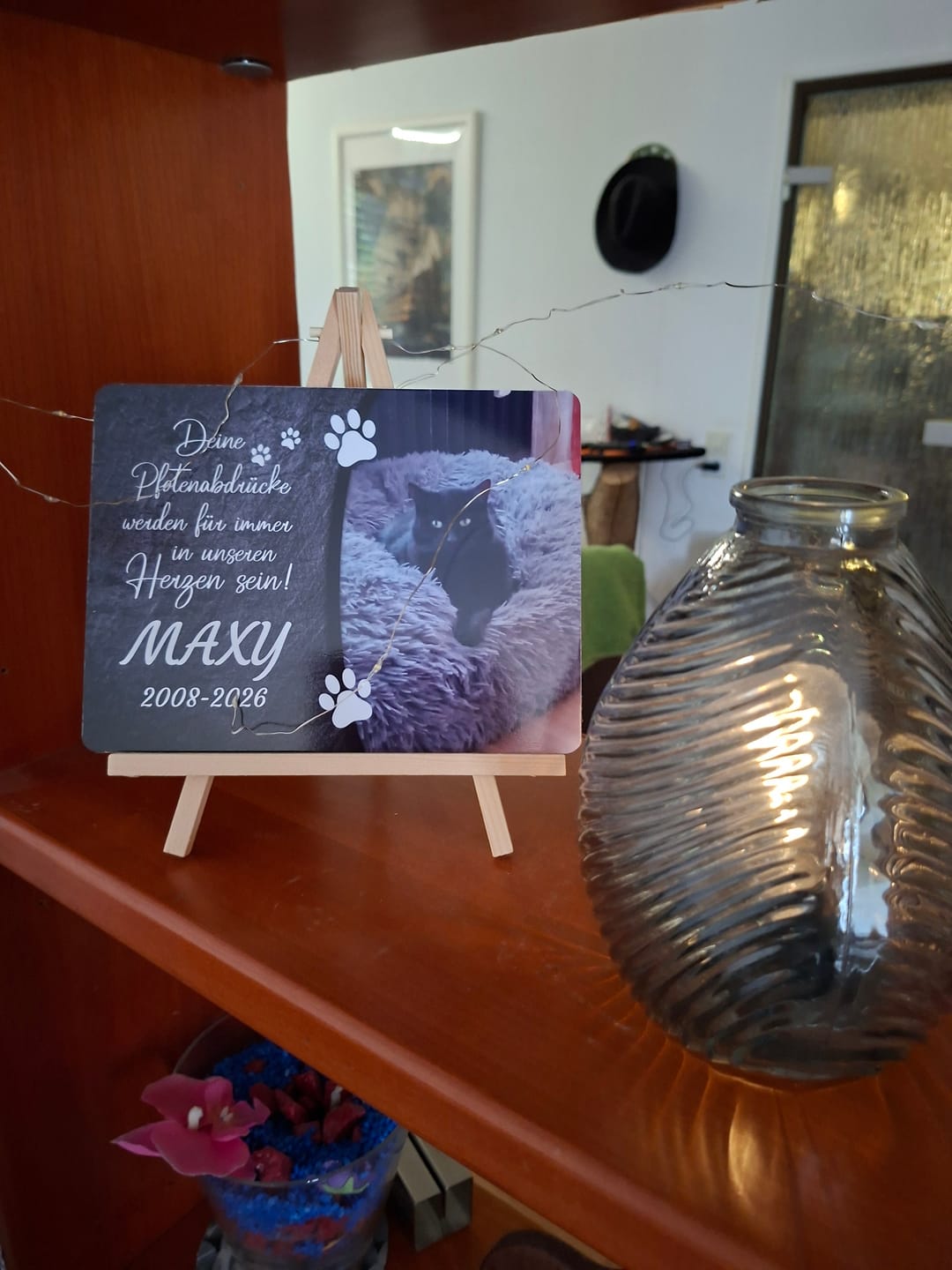 Customer photo review of Katzen Gedenktafel mit Foto & Spruch (UV- & Wetterfest)