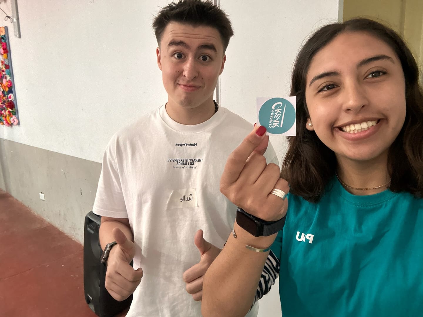 Customer photo review of Stickers de vinilo