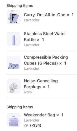 Customer's order screenshot showing the lavender Carry-On: All-in-One among other travel items.
