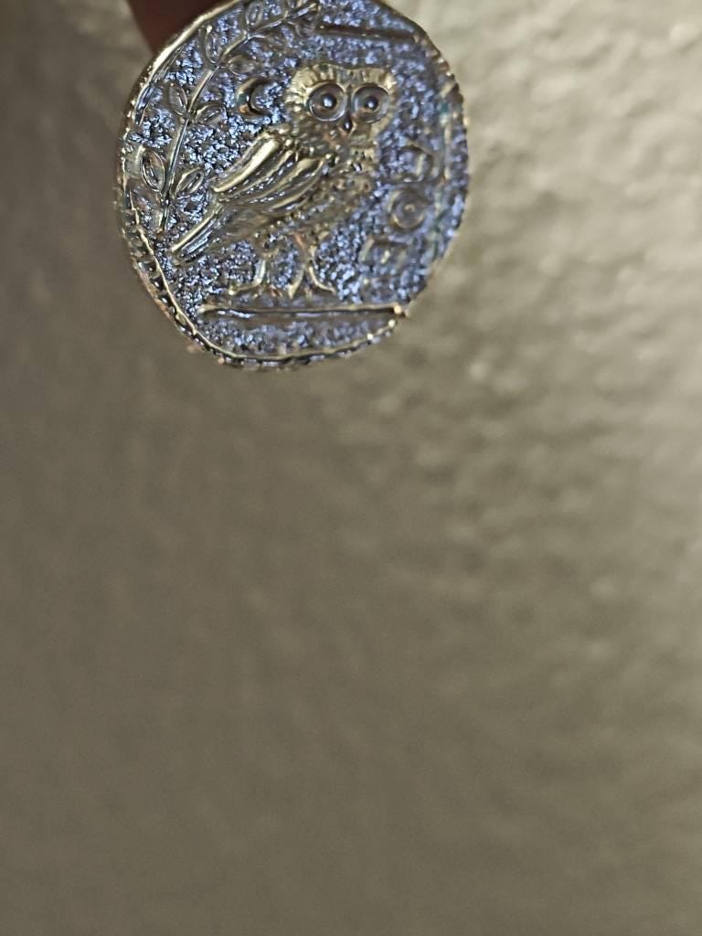 Customer photo review of Owl Pendant