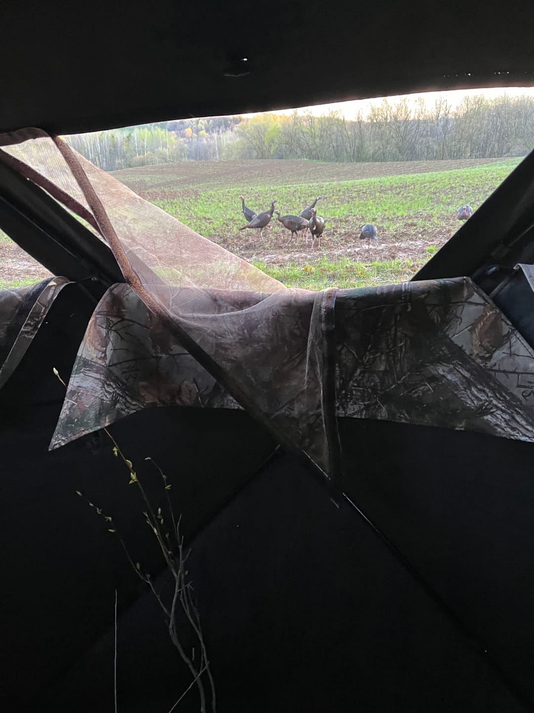 Customer photo review of VisST 270° See Through Ground Blinds | Pop Up Portable Blinds for 2 3 Person Deer Hunting with Silent Magnetic Door