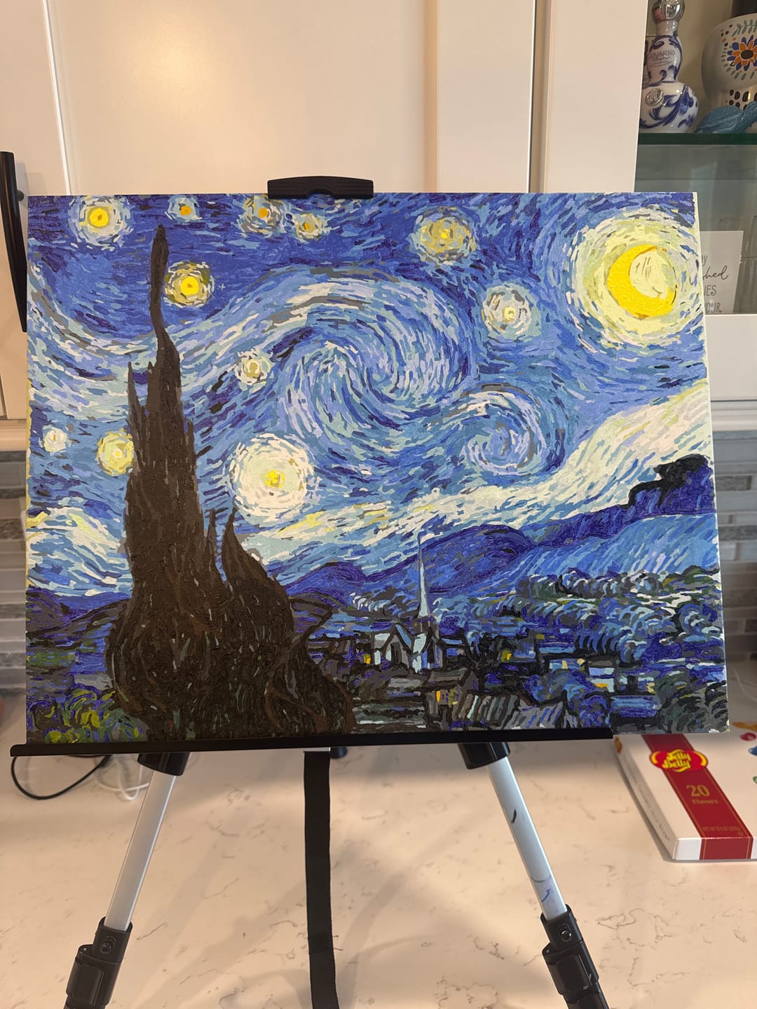 Customer photo review of Starry Night Paint by Numbers