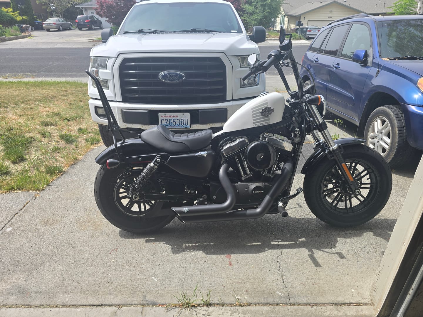 Customer photo review of Iron Born Blade 25" Sissy Bar with Foldable Luggage Rack for Harley Sportster Forty Eight Matte Black
