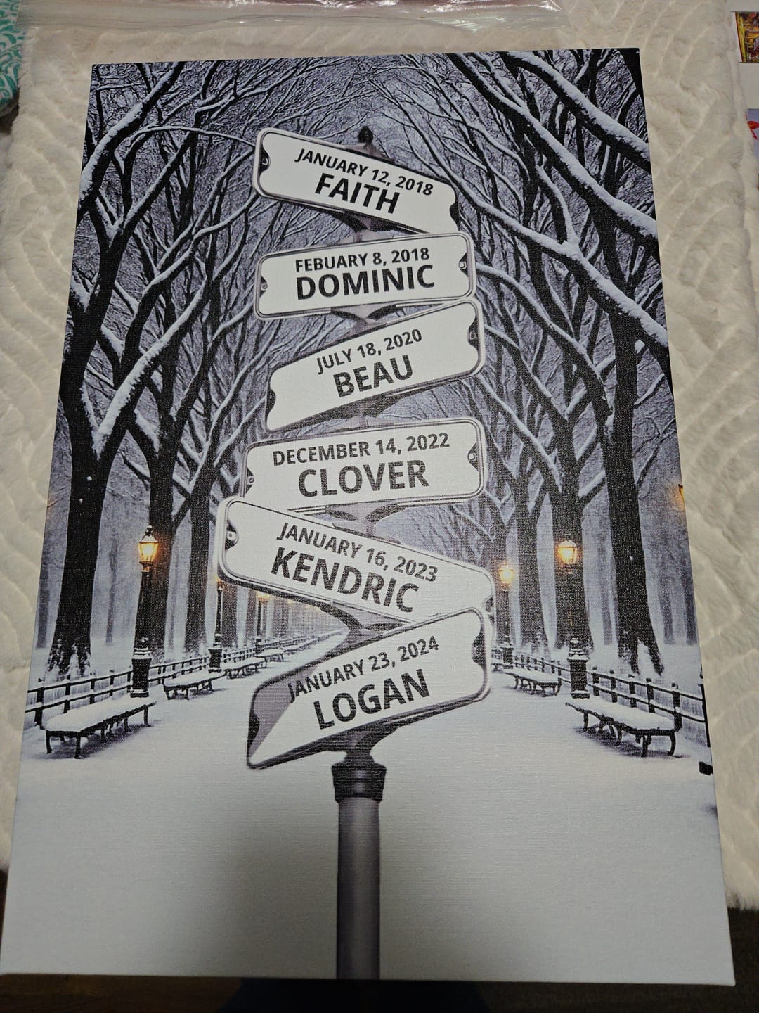 Customer photo review of Winter Street Sign With Names Personalized Canvas