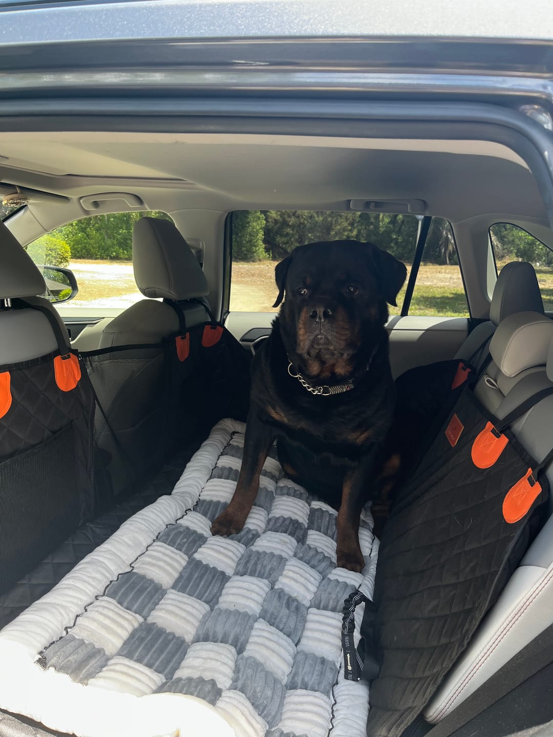 Customer photo review of CozyRider™ 2.0