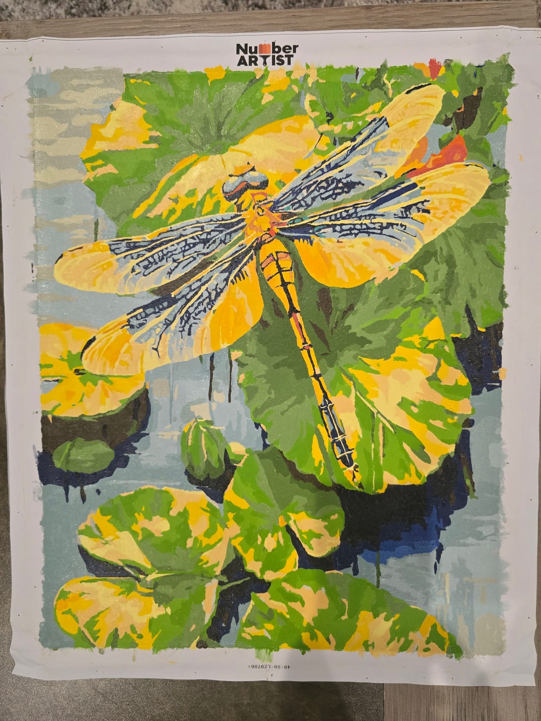 Customer photo review of Dragonfly Lily