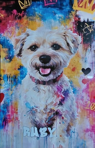 Customer photo review of Personalised Poster With Dog or Cat - Graffiti