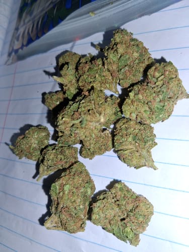 Maui Wowie - 14 Grams - Sativa photo review