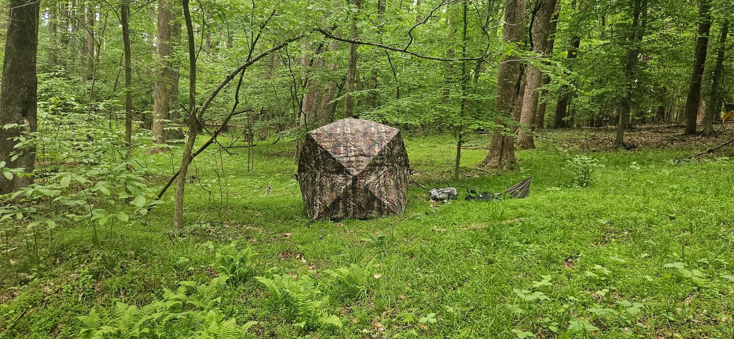 Customer photo review of VisX/VisMax See Through Hunting Blind, Pop Up Ground Deer Blind