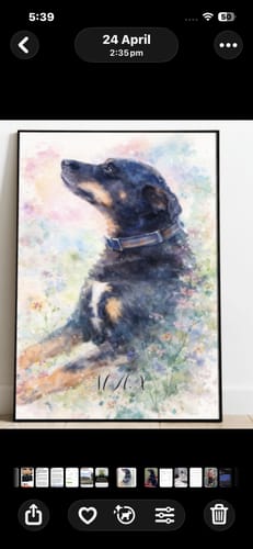 Customer photo review of Personalised Poster With Dog or Cat - Watercolour