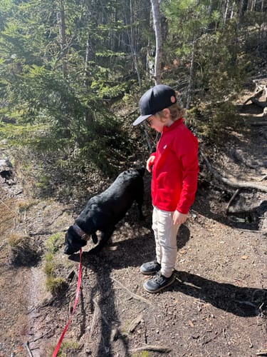 Asiakkaan lapsi seisoo metsässä yllään tummat Vaistoa Kiva paljasjalkatennarit.