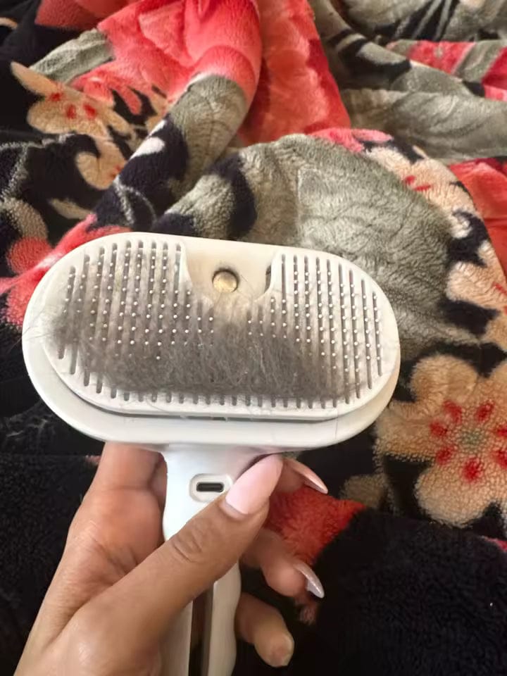 Customer photo review of The Groom Lab | Steam Brush™
