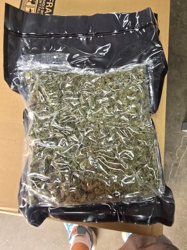 CBD Flower - Abacus Diesel photo review