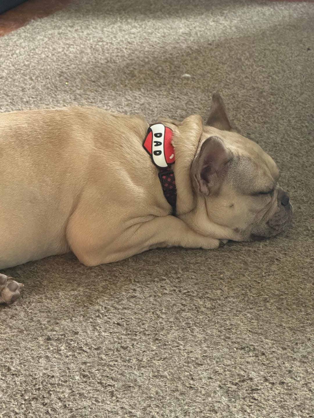 Customer photo review of Dad Tattoo Jiby Dog Charm