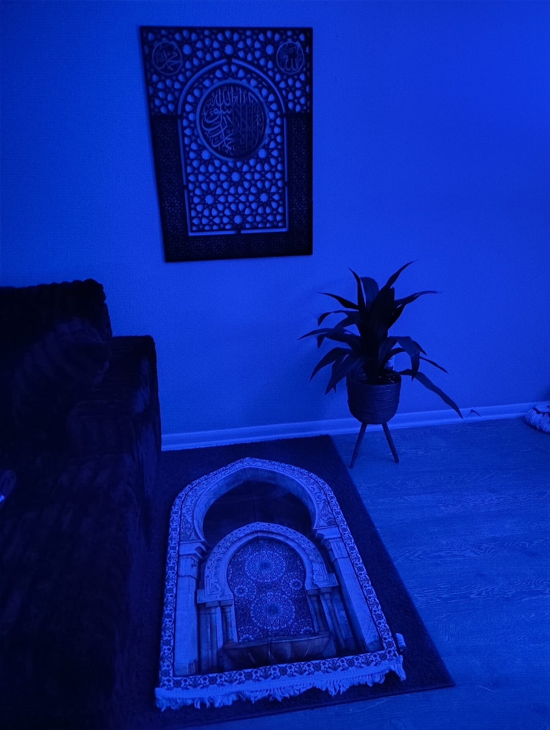 Customer photo review of 3D Mihrab Premium Padded Prayer Mat