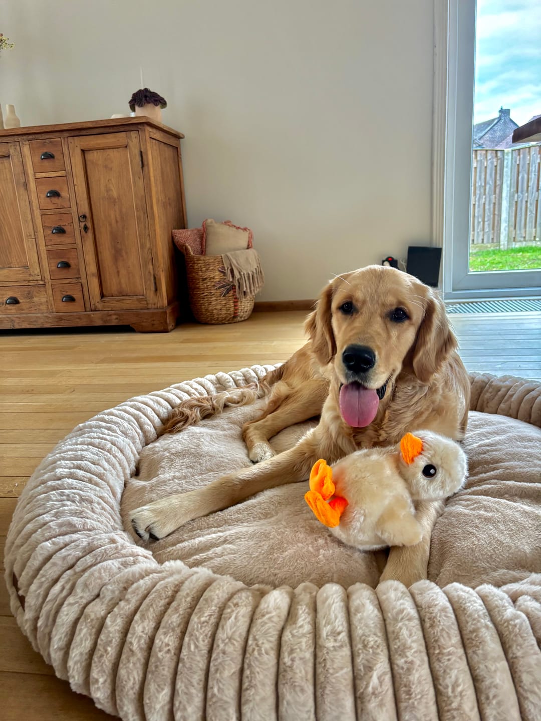 Customer photo review of Pet Perfect Hoes (ENKEL HOES) voor Orthopedische Donutmand - ZONDER VULLING
