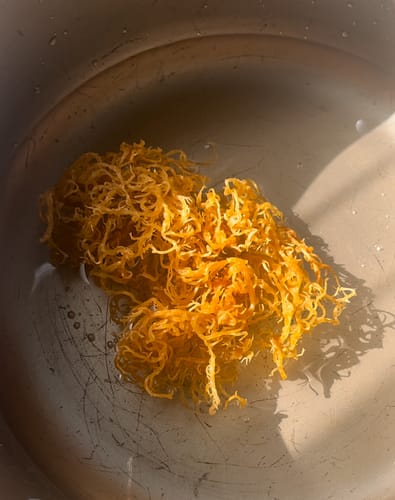 Customer photo review of St Lucia Wildcrafted Sea moss