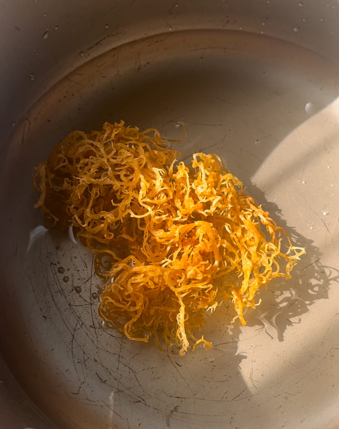 Customer photo review of St Lucia Wildcrafted Sea moss
