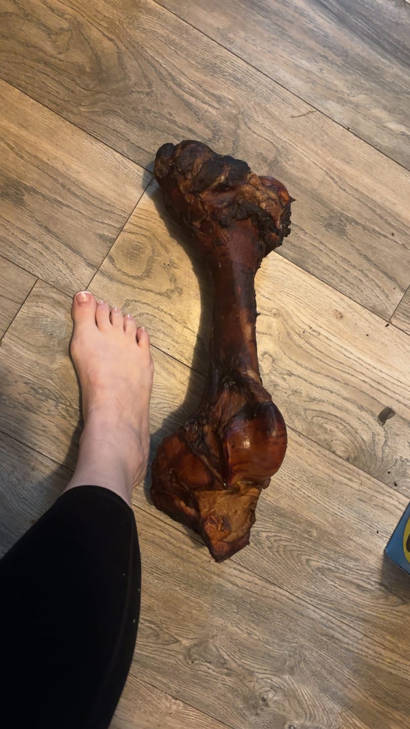 Customer photo review of Smoked Dinosaur Bones