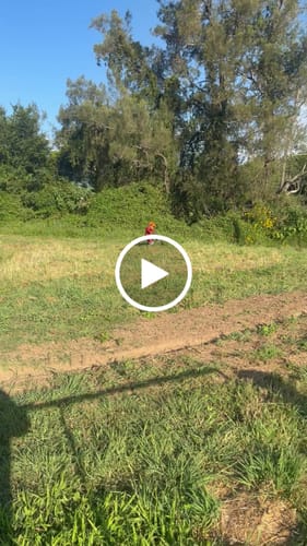 Customer video review of 2400W Kids Electric Dirt Bike TK1010-20 (seat height 600mm)