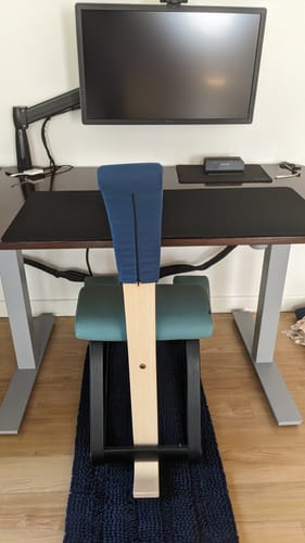Customer photo review of Variable Balans Backrest