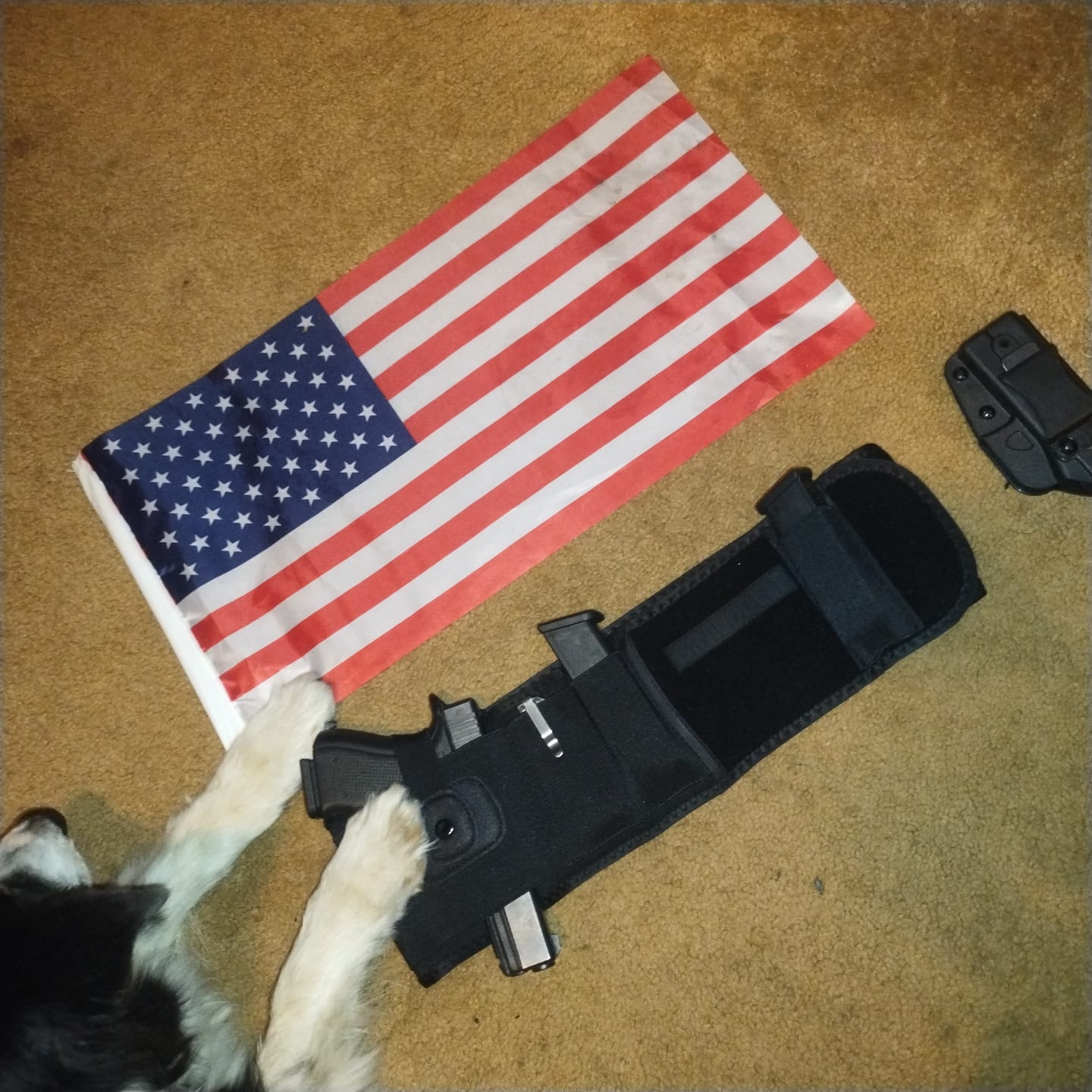 Customer photo review of BravoBelt Laser Fit Edition – Belly Band Holster | Fits Pistols with Weapon Mounted Lights, Lasers & Red Dots | Unisex (Black)
