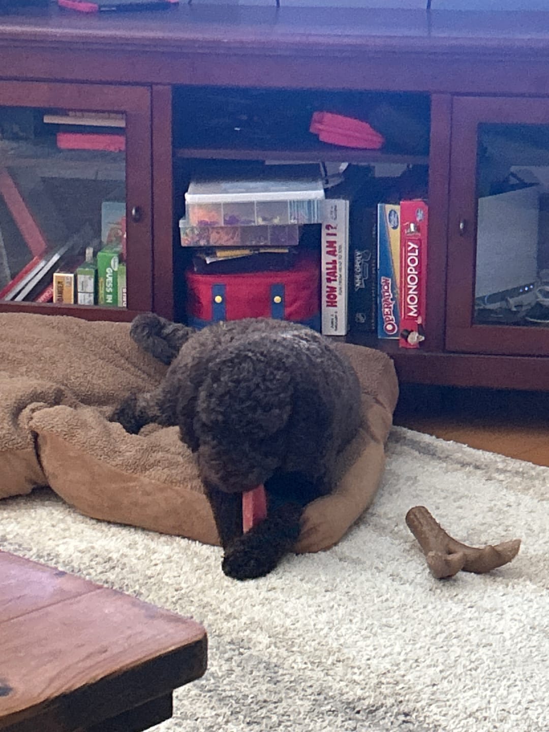 Customer photo review of Himalayan Yak Chew Flavor Pack
