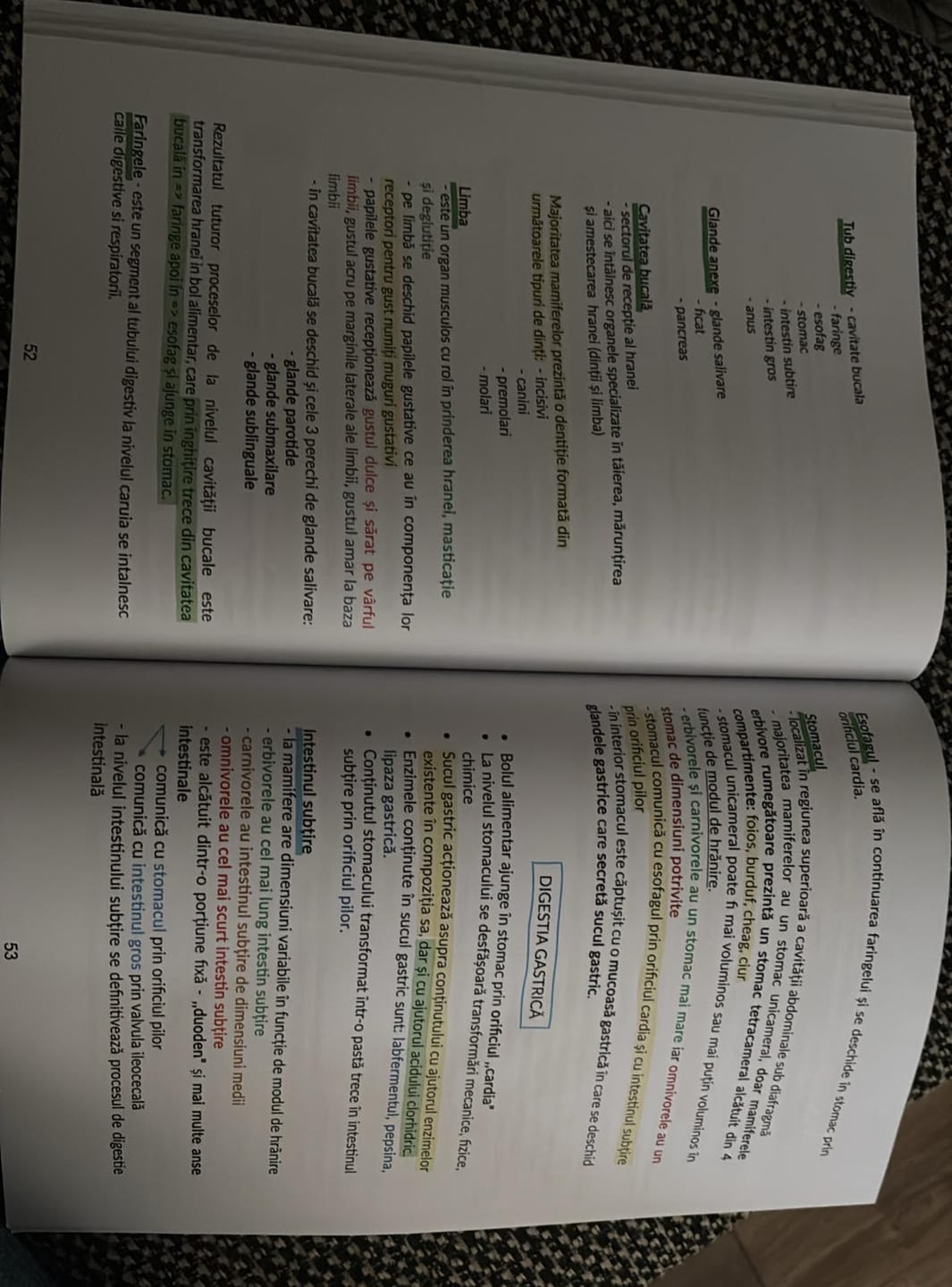 Customer photo review of Carte Biologie Vegetală și Animală Bacalaureat (clasele IX-X) Bacademia