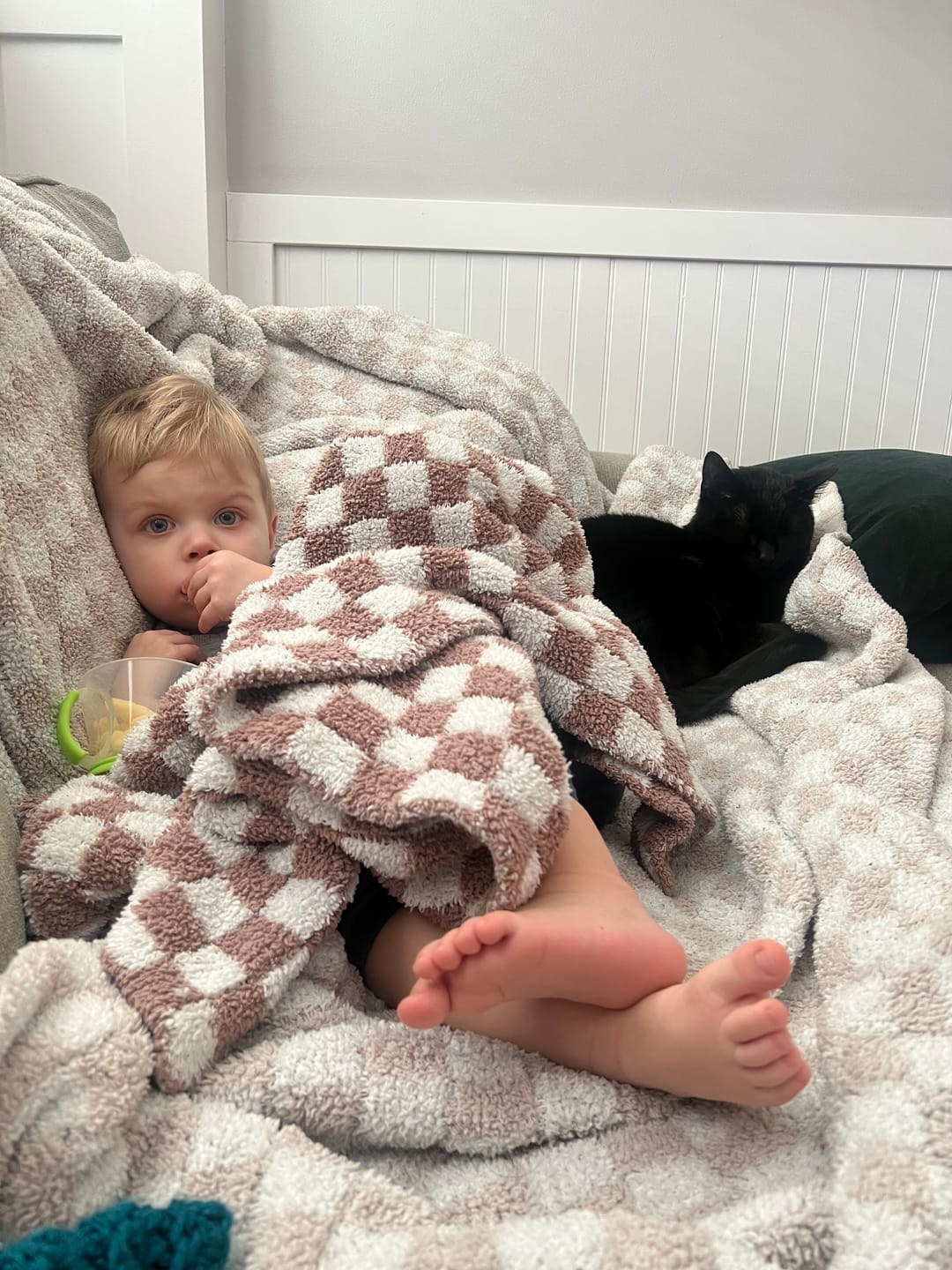 Customer photo review of Chocolate Milk & White Check Print Toddler Blanket