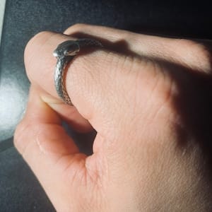 Customer photo review of Ouroboros Ring