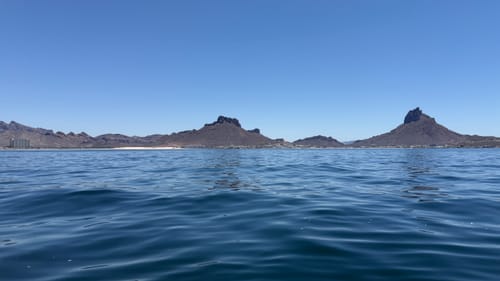 Customer photo review of Boost Fin Long Range