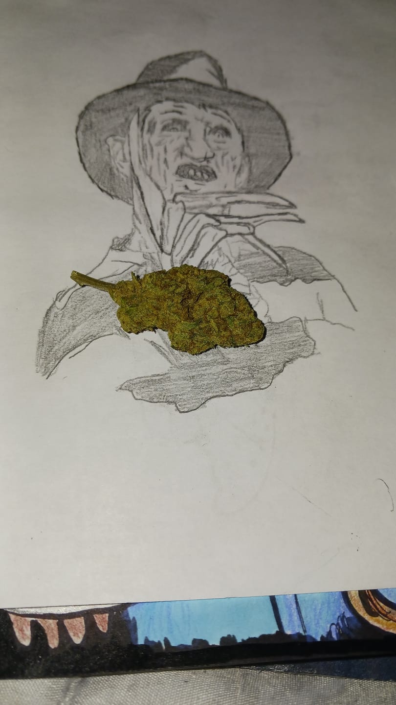 Customer photo review of Alien OG - 4 Grams - Indica