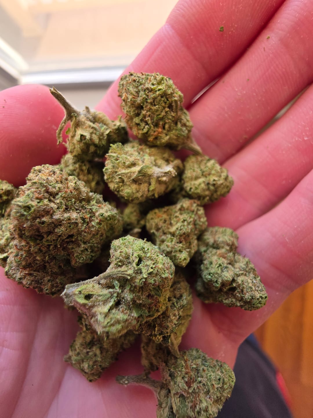 Customer photo review of Blueberry Muffins - Bulk - Indica