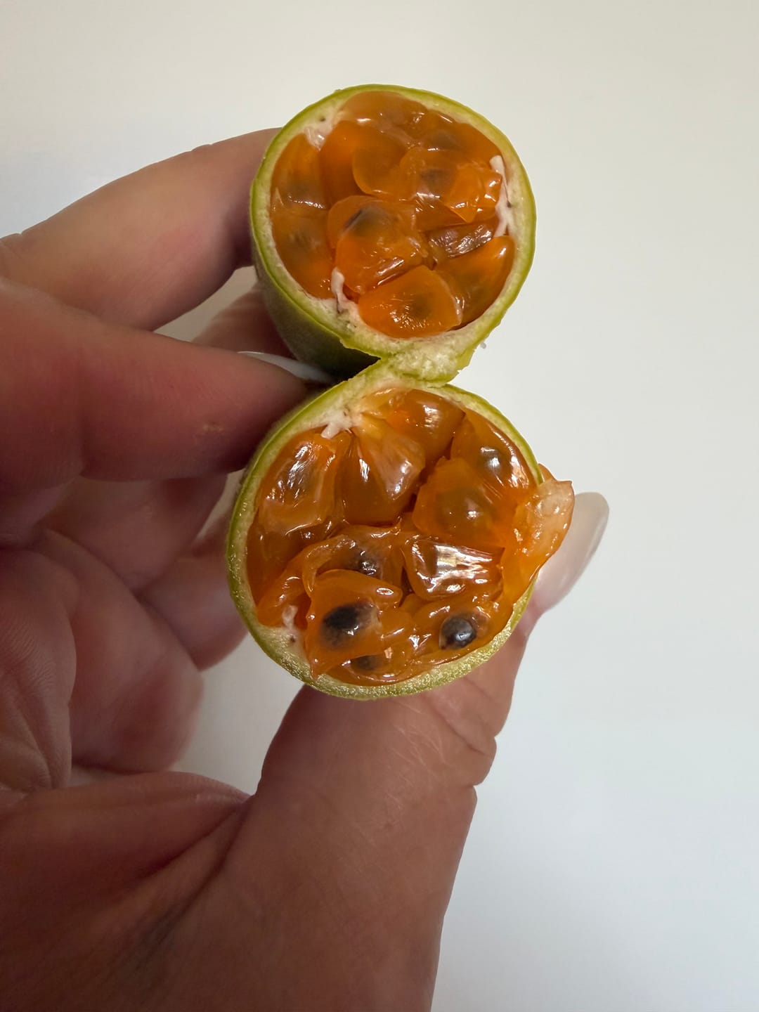 Customer photo review of Curuba (Bananen-Maracuja)