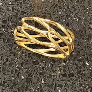 Customer photo review of Parametric Ring