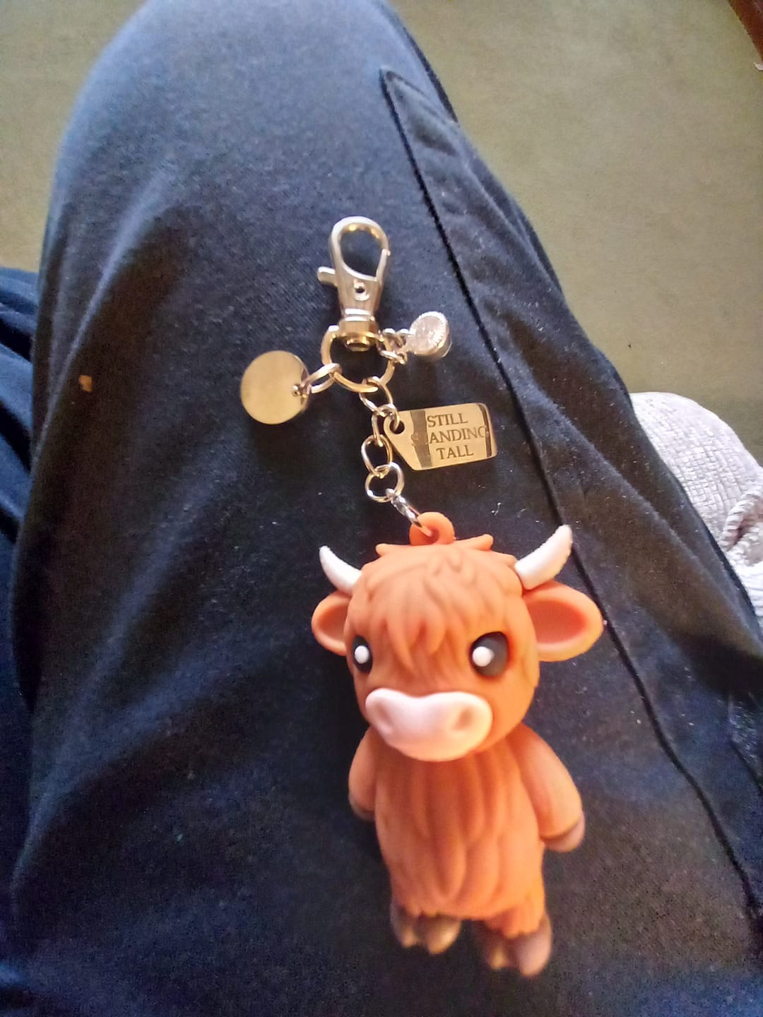 Customer photo review of 🐮A Little Highland Cow For You Keychain: Your Daily Reminder of Quiet Strength