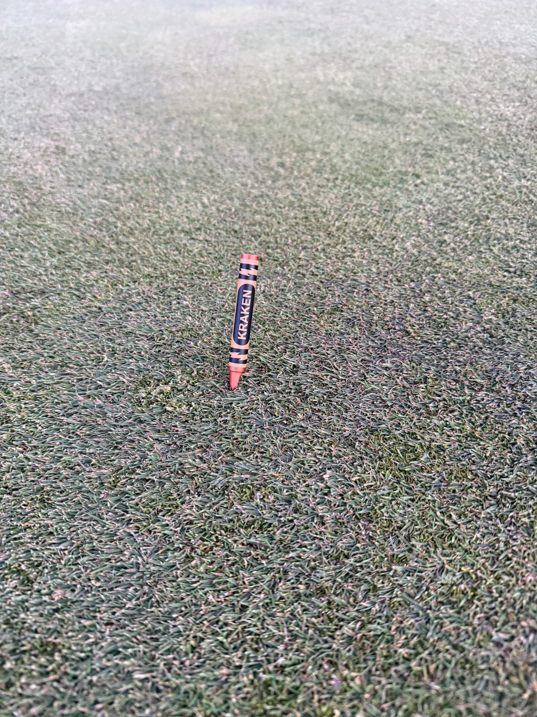 Customer photo review of Beaten to a Pulp - Orange Crayon Divot Tool