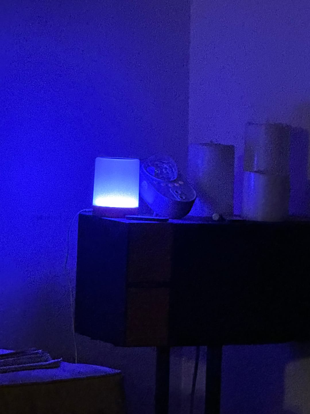 Customer photo review of Friendship Lamp